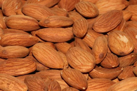 تصویر 2 از خرید جدید ترین انواع بادام درختی عمده
